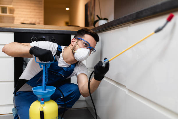 Best Cockroach Control Services  in St Elmo, IL