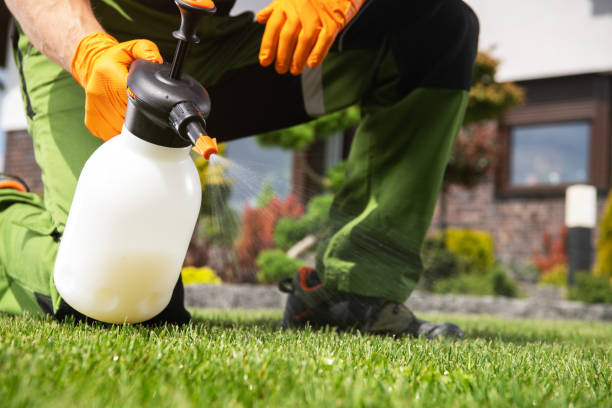 Best Pest Removal Services  in St Elmo, IL