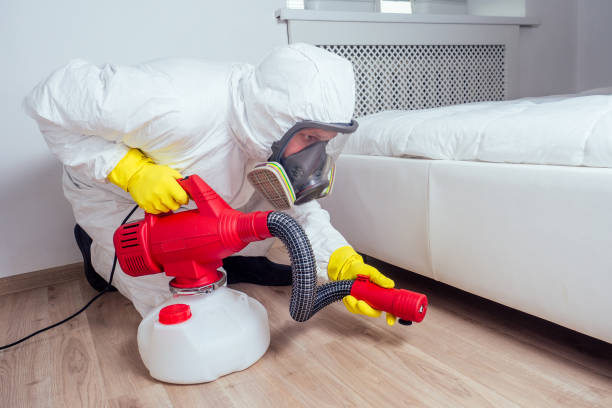 Best Pest Control Near Me  in St Elmo, IL