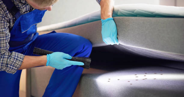 Best Residential Pest Control  in St Elmo, IL