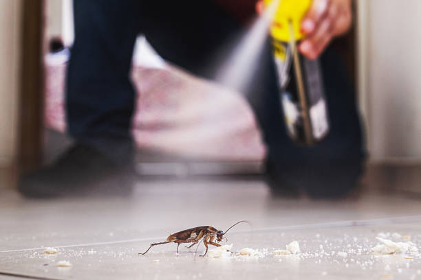 Best Commercial Pest Control Services  in St Elmo, IL