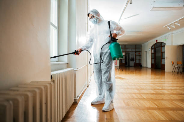 Best Exterminator Services  in St Elmo, IL