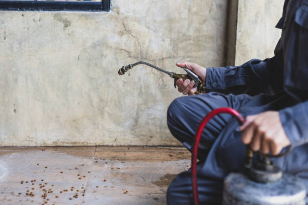 Best Affordable Pest Control Services  in St Elmo, IL